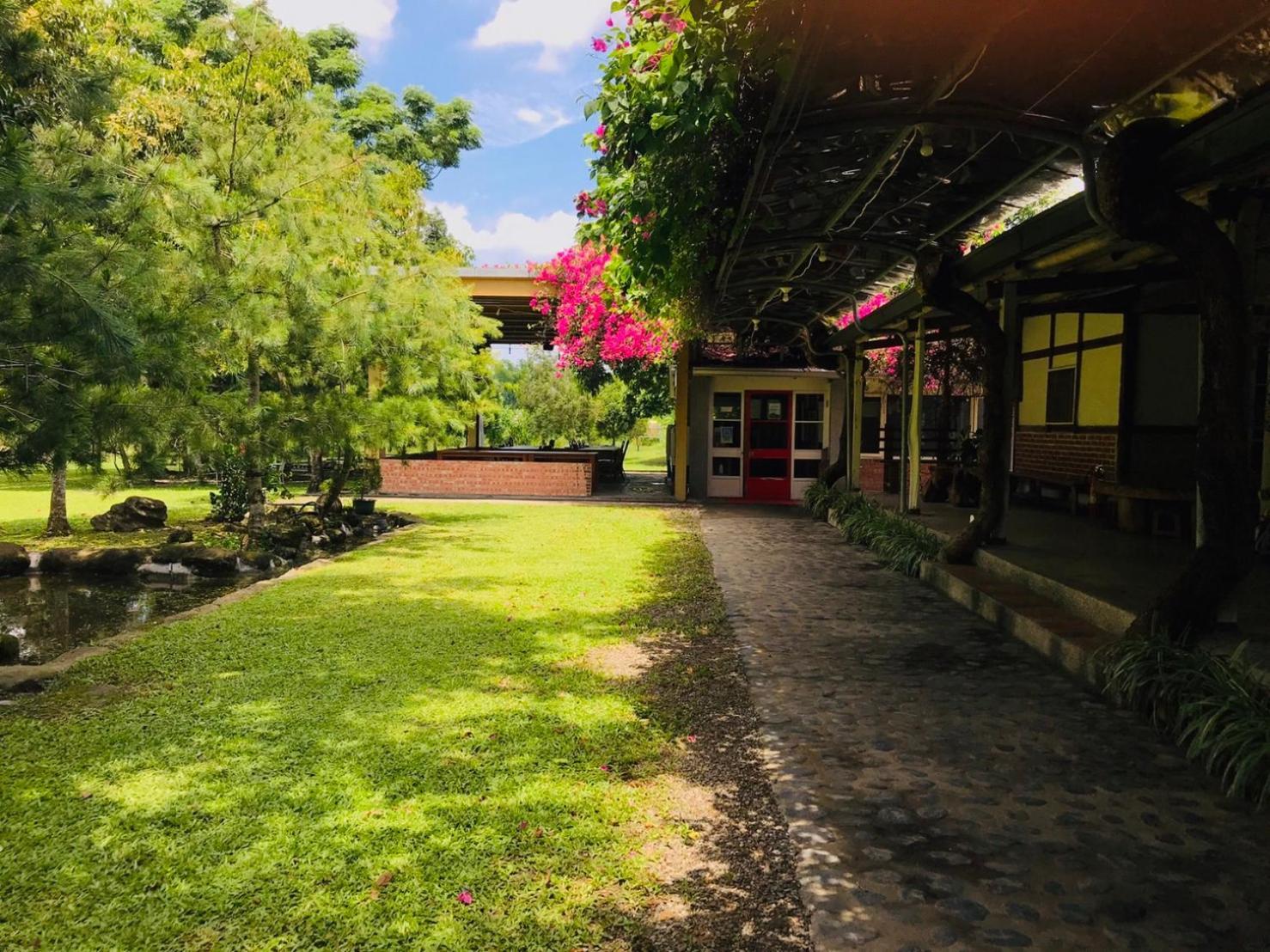 嘉義竹崎白樹腳驛棧萬坪生態包棟烤肉親子民宿 Fujin Экстерьер фото